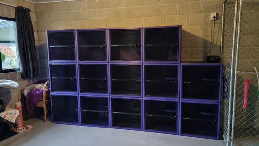 Custom Cattery Project Part 1