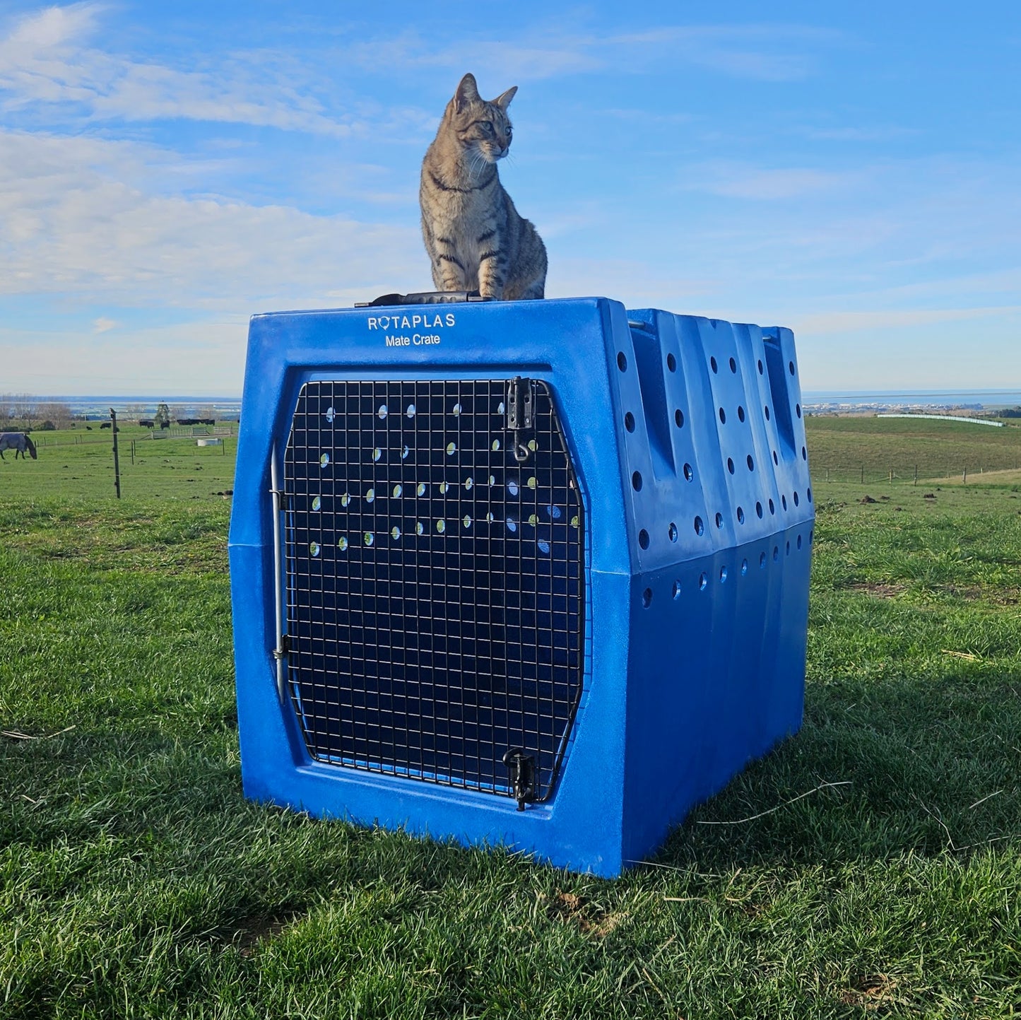 MATE CRATE - Mega