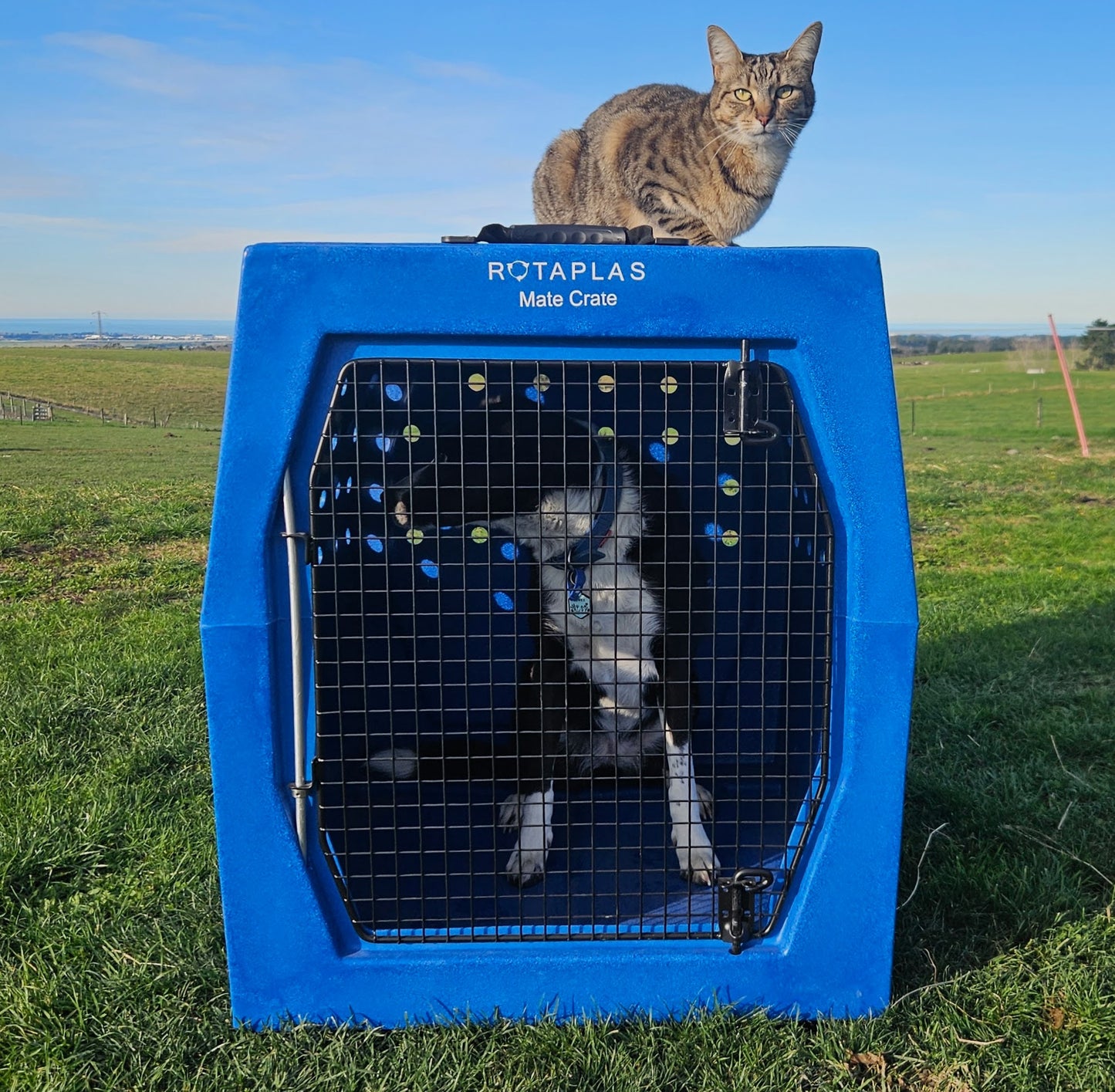 MATE CRATE - Mega