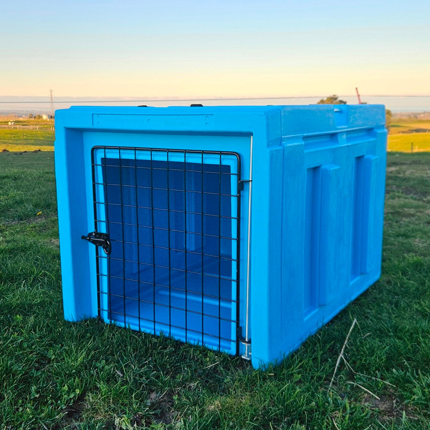 The Dog Box