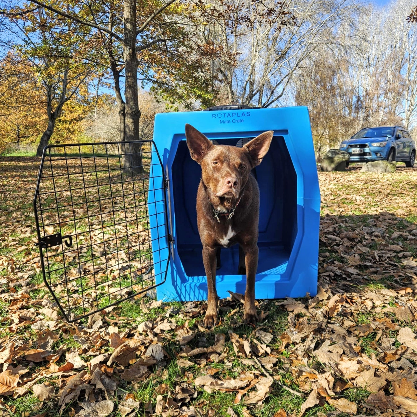 MATE CRATE - Mega