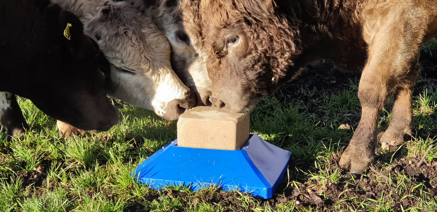 Salt Lick block holder