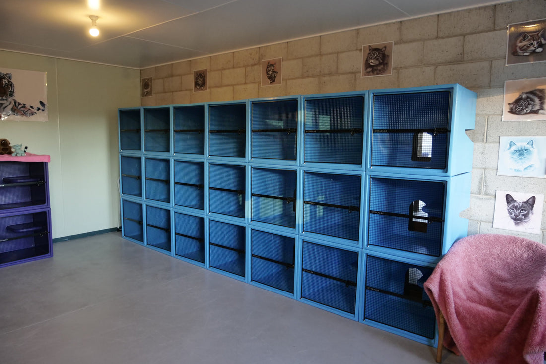 Custom Cattery Project Part 2