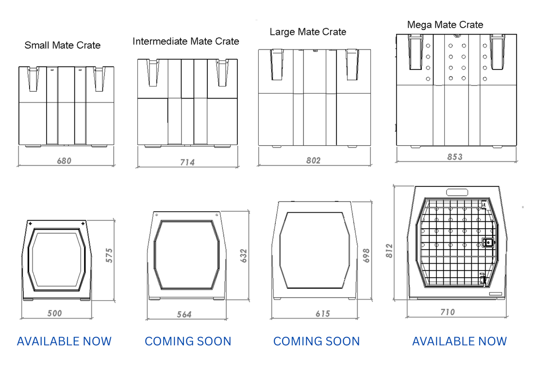 New Sizes Coming Soon!