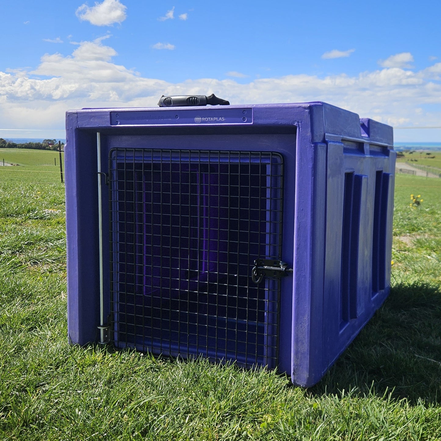 The Dog Box
