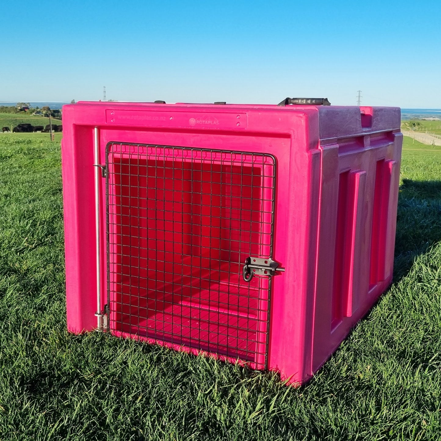 The Dog Box