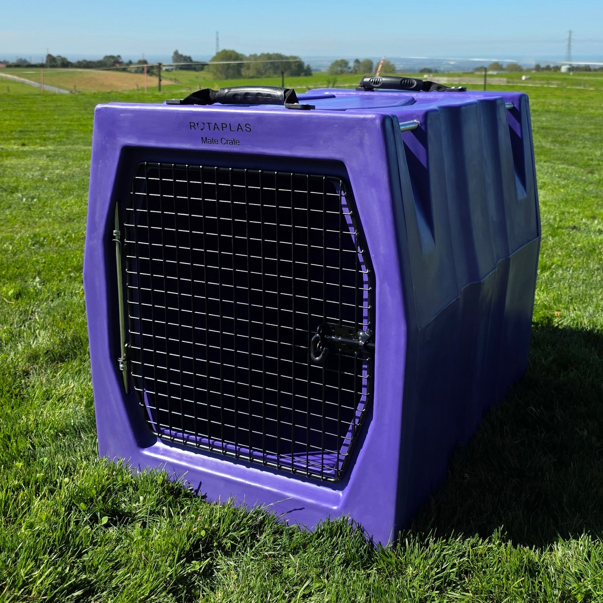 Purple Mate Crate Left  door hung