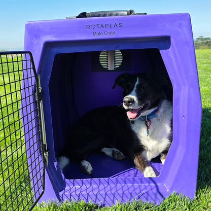 MATE CRATE- Medium