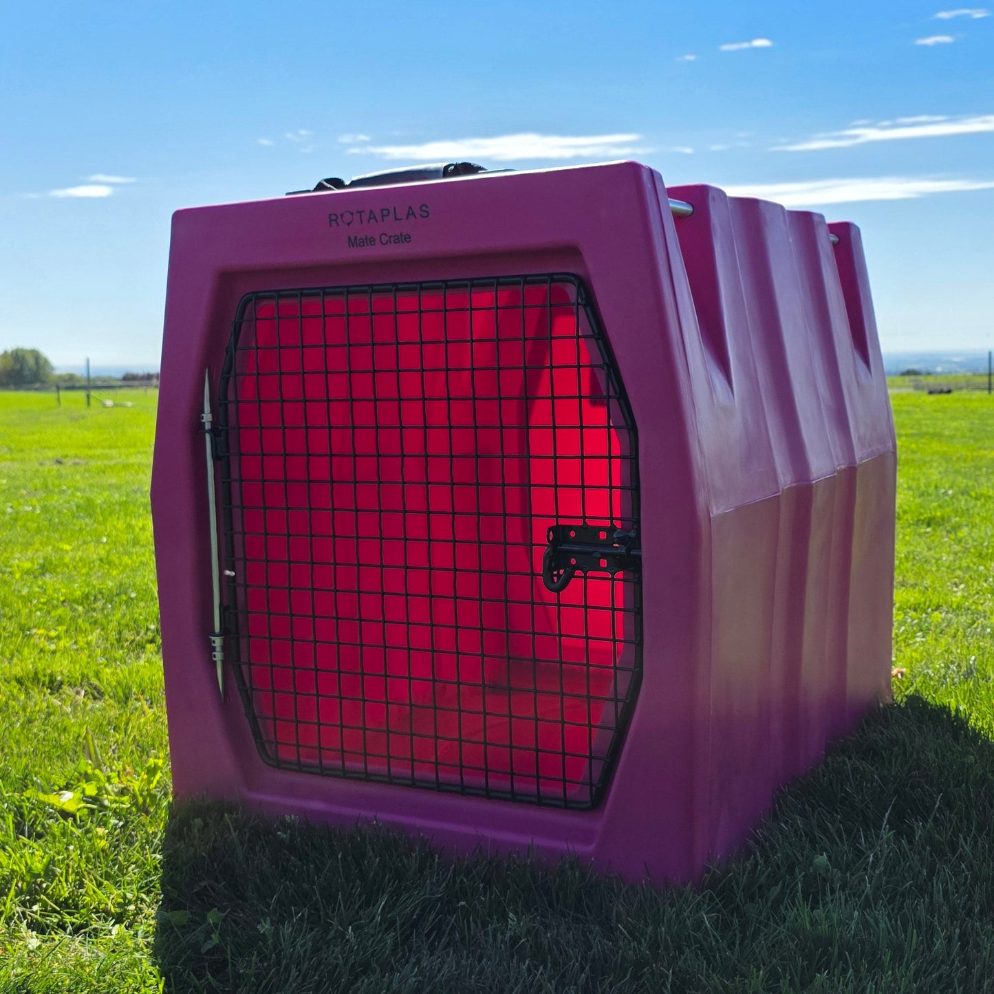 MATE CRATE- Medium