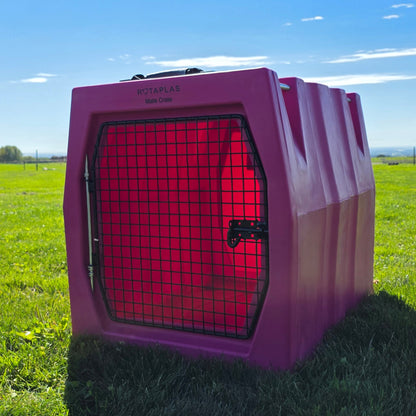 MATE CRATE- Medium
