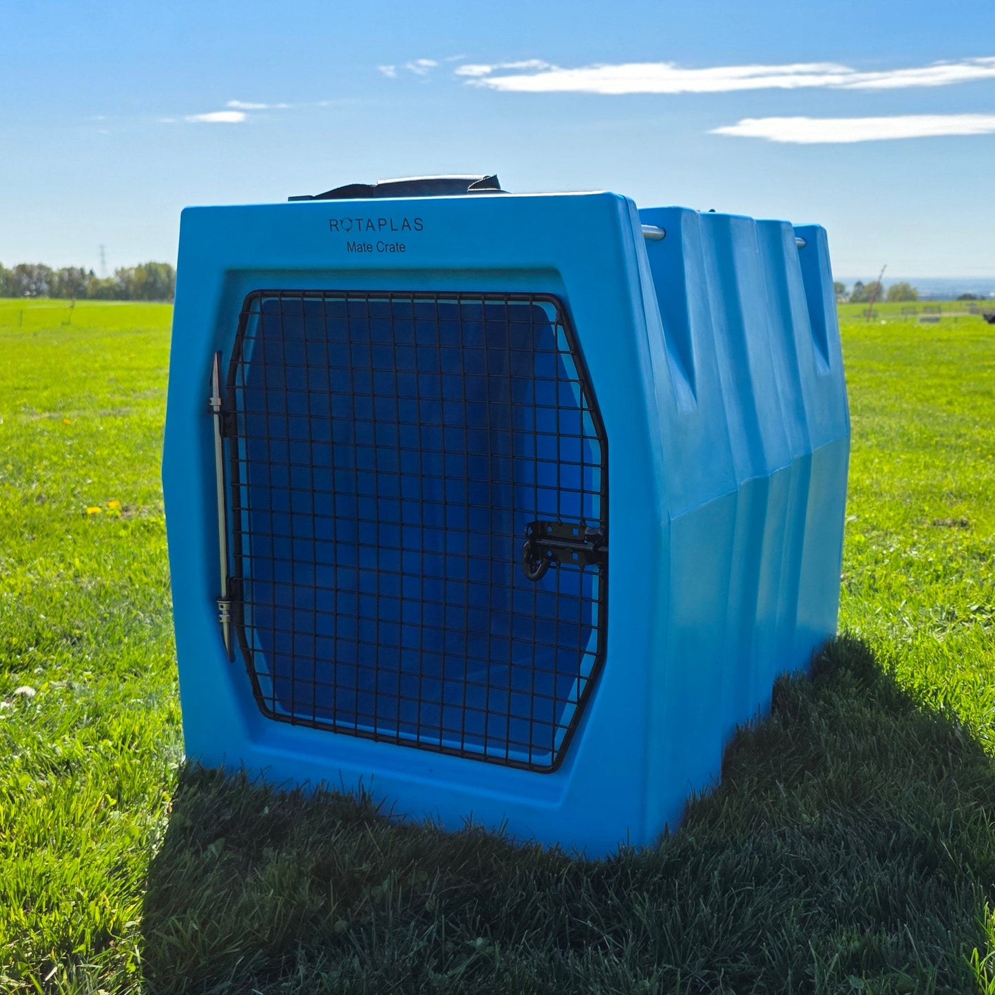 MATE CRATE- Medium