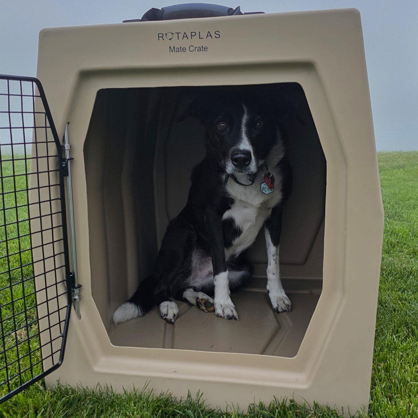 MATE CRATE- Large