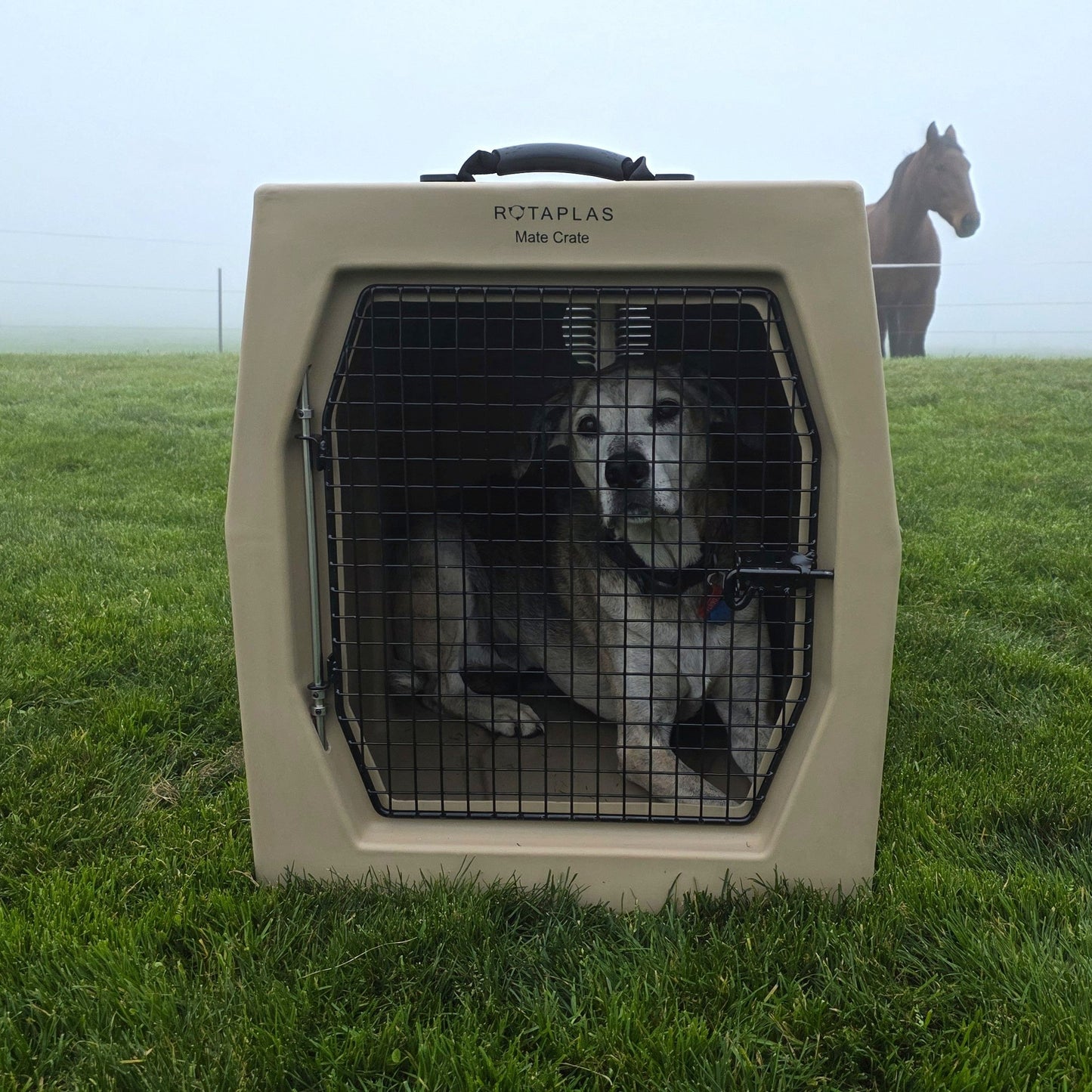 MATE CRATE- Large