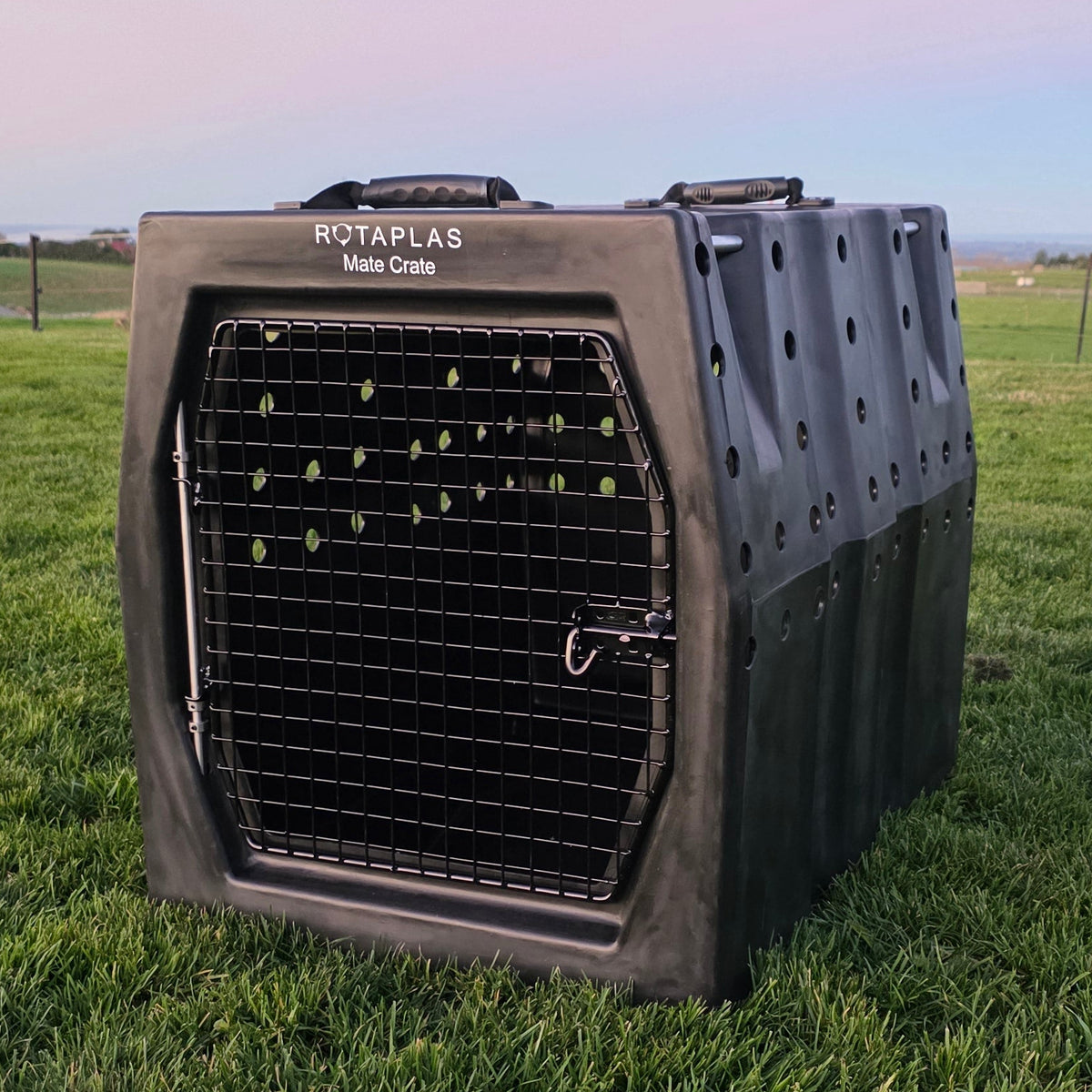A black plastic dog crate with a metal front door and handle, standing on a green grassy field under a soft pink and blue sky.