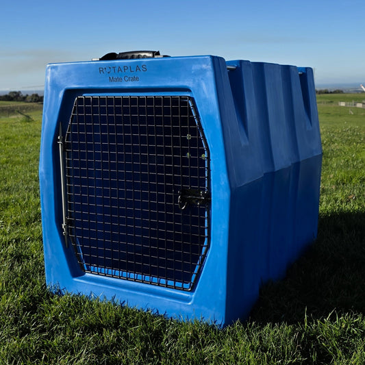 Blue portable dog crate in a grassy field with a clear sky