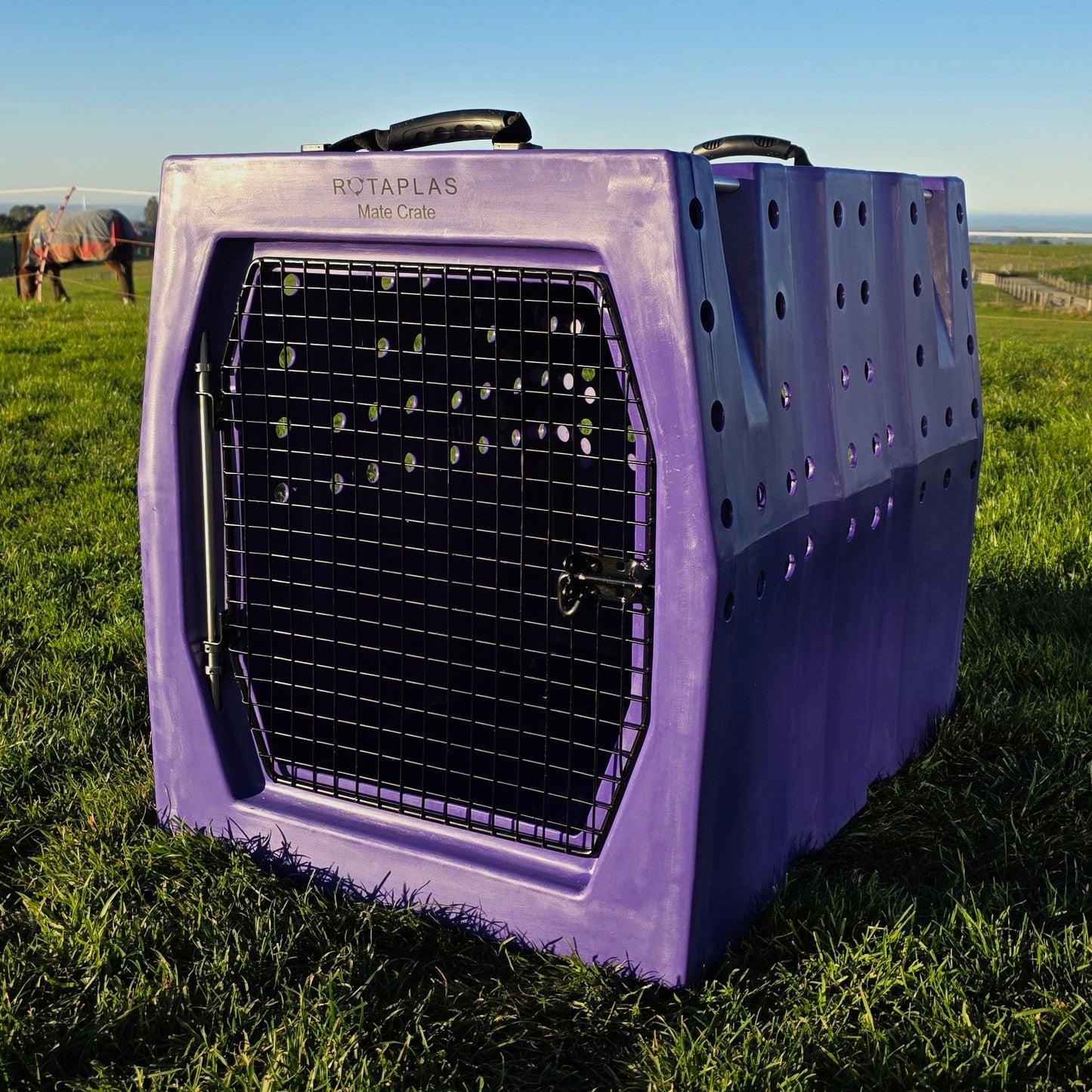 MATE CRATE- Large