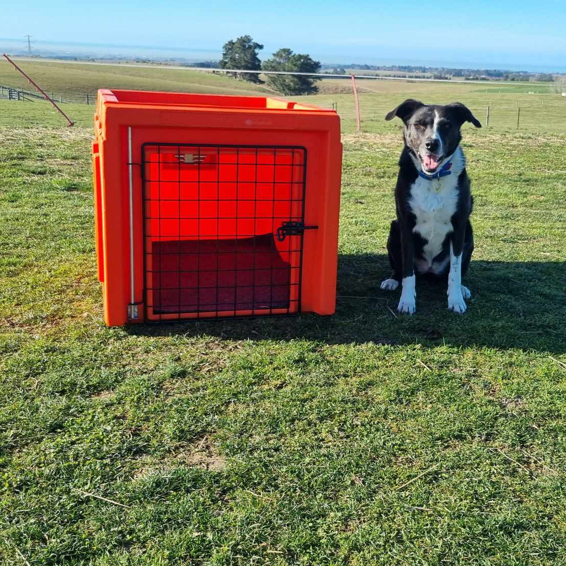 vehicle dog restraint Ute dog box ute dog kennel Ute dog boxtruck dog boxplastic dog box durable dog box Blue Front Ears up
