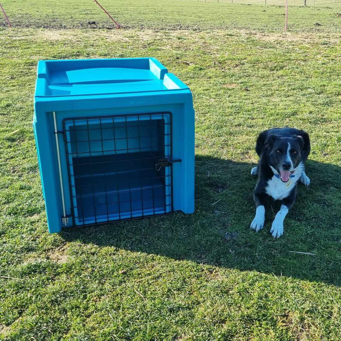 vehicle dog restraint Ute dog box ute dog kennel Ute dog boxtruck dog boxplastic dog box durable dog box Blue Front