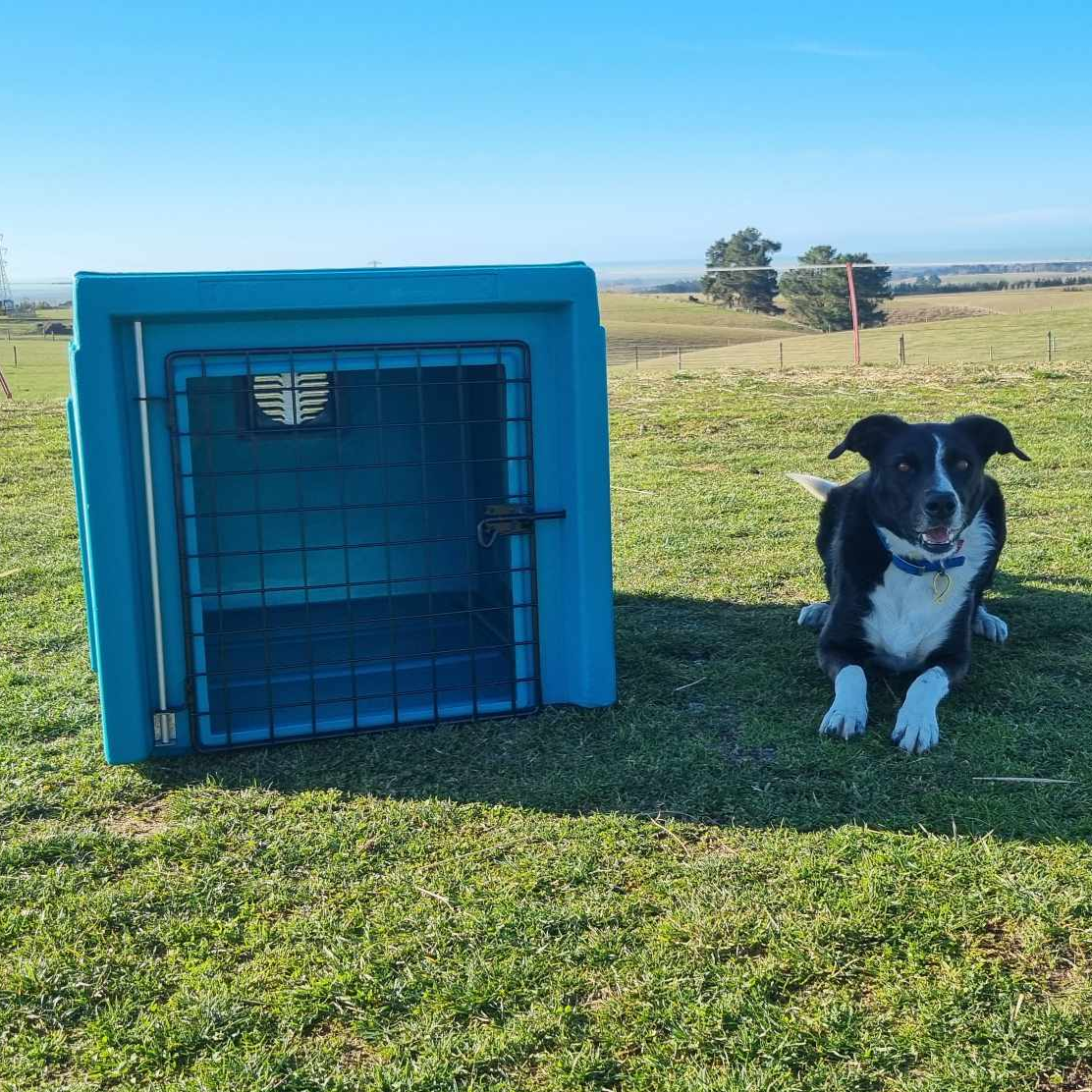 vehicle dog restraint Ute dog box ute dog kennel Ute dog boxtruck dog boxplastic dog box durable dog box Blue Front End