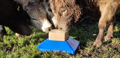 Salt Lick block holder