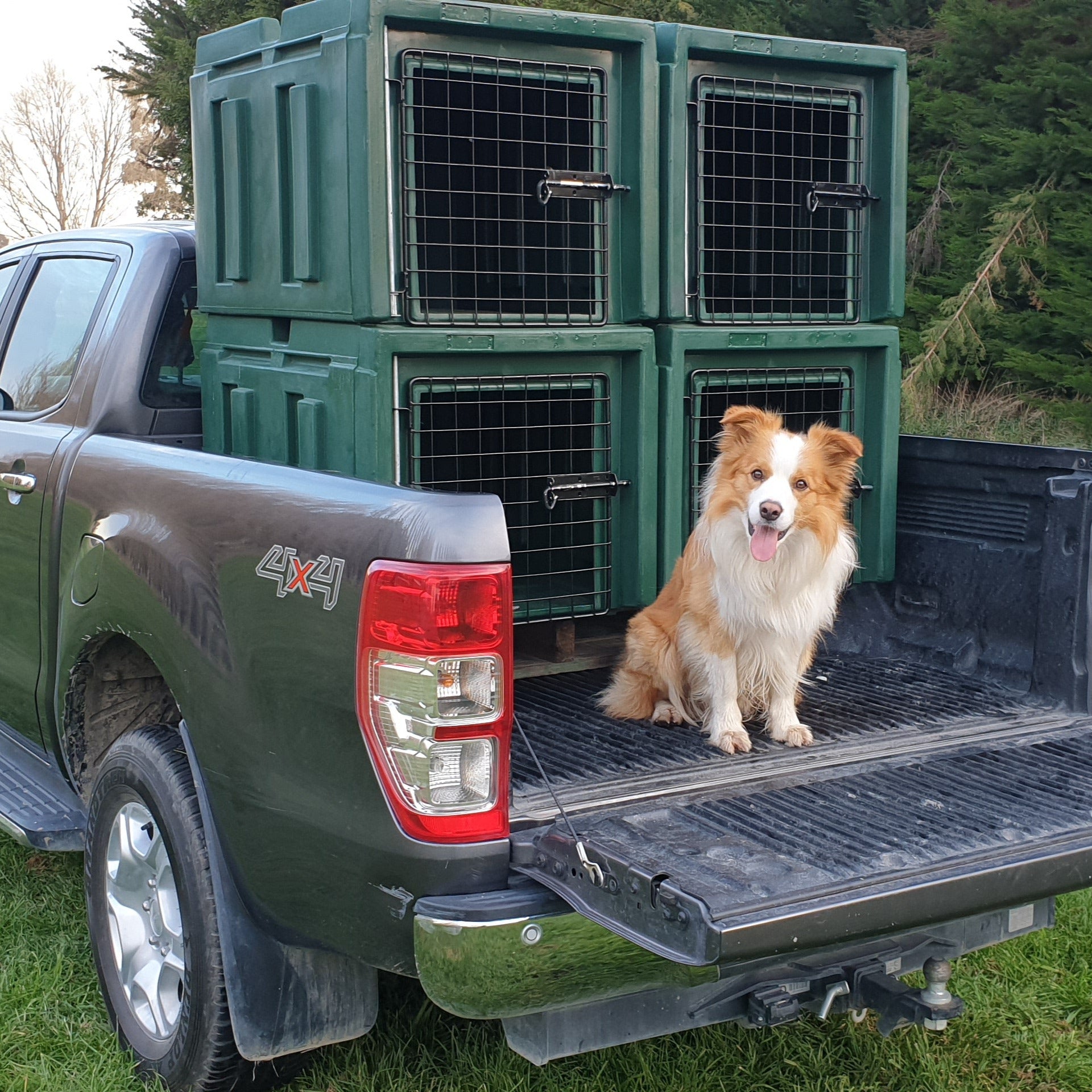 The Dog Box Dog Crate - 100% NZ Made – Rotaplas