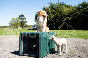 Plastic dog box