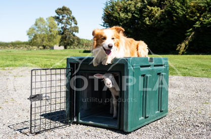 Plastic dog box